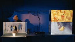 The Duck After. Wyznanie niesamowitej plastikowej zabawki. Kaczki.