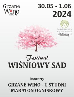 Festiwal Wiśniowy Sad - koncerty Grzane Wino i U Studni