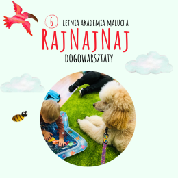 DOGOWARSZTATY od 3 do 4 lat