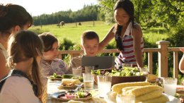 Letnie Kino "KADR": Jajko czy kura?