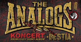 Plakat The Analogs w Smoku 330992