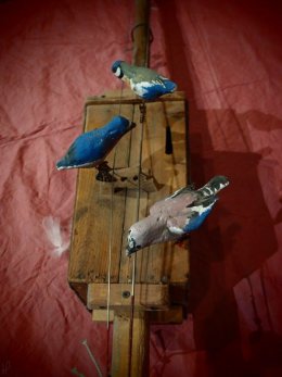 Spektakl muzyczny Muzykanci Tralalanci