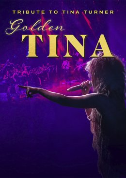 Tribute To Tina Turner