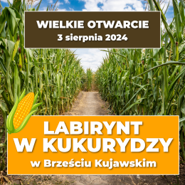 Labirynt w kukurydzy - BRZEŚĆ KUJAWSKI 2024