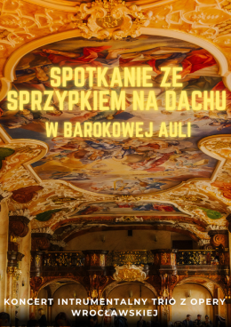 Koncert przy świecach: Spotkanie ze skrzypkiem na dachu