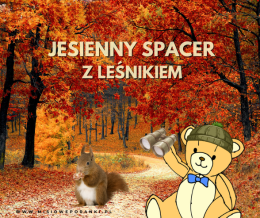 Spacer przyrodniczy Misiowe poranki