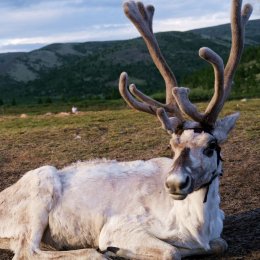 Spotkanie: Moje drogi po Syberii