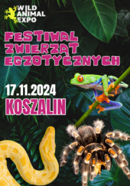 Wild Animal Expo - Festiwal Zwierząt Egzotycznych KOSZALIN 17-11-24