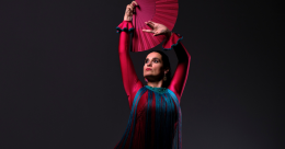 VIVA FLAMENCO! - koncert