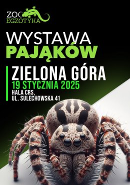 Wystawa pająków - Zielona Góra