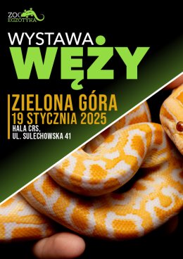 Wystawa węży - Zielona Góra