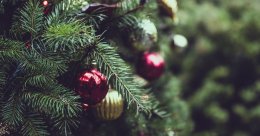 LOVE IS CHRISTMAS – koncert świąteczny inner voice STUDIO