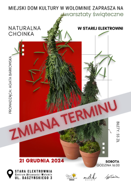 Naturalna choinka w Starej Elektrowni