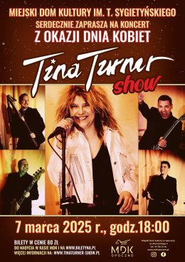 Tina Turner Show