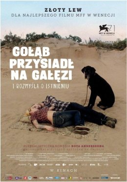 Gołąb przysiadł na gałęzi i rozmyśla o istnieniu