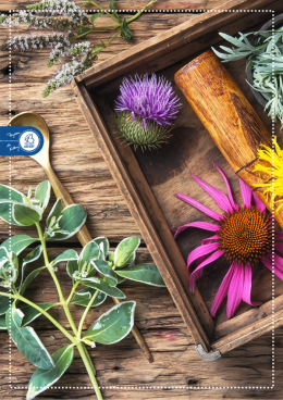 02 Twórcze Siedlisko - „Czuły dotyk”