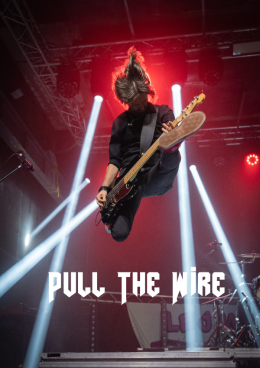 Pull the Wire + Ga-Ga Zielone Żabki + Skowyt + AntyRefleks