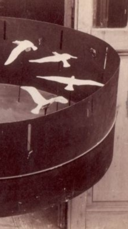 Sztuka w kadrze. Zootrop i inne optyczne zabawki 8+