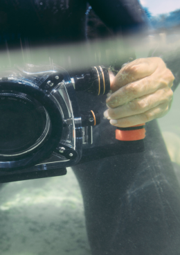 Filmowa rozgrzewka. Podwodne tajemnice 9+