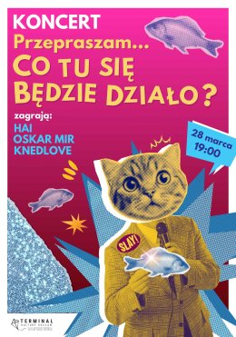 Przepraszam, co się tu będzie działo?: Knedlove, Oskar Mir, hai (koncert)