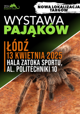 Wystawa pająków - Łódź
