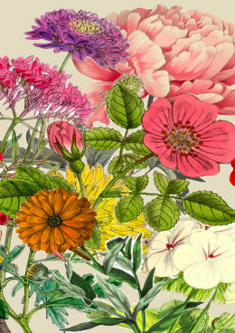 Odkrywcy animacji. Ożywiamy wiosnę! 7+