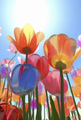 Koncert symfoniczny. „Muzyczne impresje”