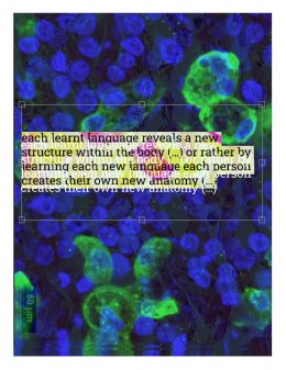 „Babel. The resonance of language” Baxi Ostrowski / wykład performatywny tow. 2. Interdyscyplinarnej Konferencji Naukowej