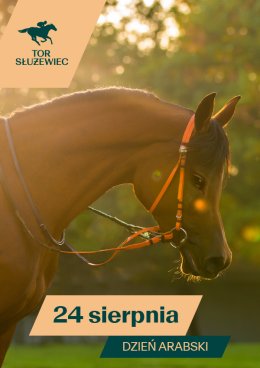Dzień Arabski - Wyścigi konne na Torze Służewiec 2025