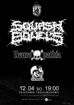 Neuropatia, Squash Bowels, Łeb Prosiaka