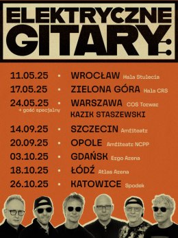 Elektryczne Gitary - W cieniu sufitów