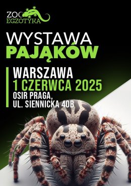 Wystawa pająków - Warszawa