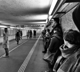 Warszawskie Dni Gościnności. Syreny.