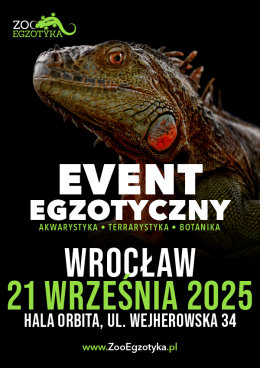 ZooEgzotyka Wrocław