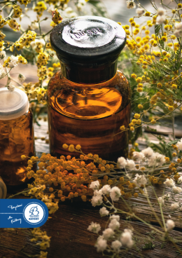 14.06 Twórcze Siedlisko: Czerp z natury