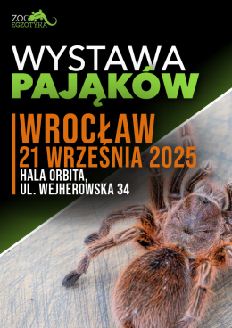 Wystawa pająków - Wrocław