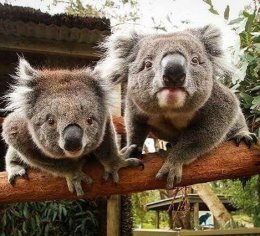 73. Antykabaret Dobry Wieczór we Wrocławiu