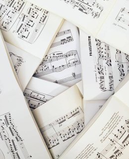 „Przed dyplomem”