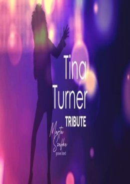 Tina Turner Tribute
