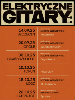 Elektryczne Gitary - W cieniu sufitów