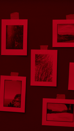 Sztuka w kadrze. Pojawia się i znika 7+