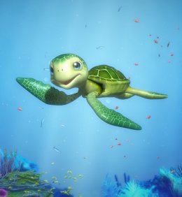 Żółw Tomek szuka przyjaciół