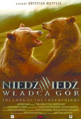 Niedźwiedź władca gór