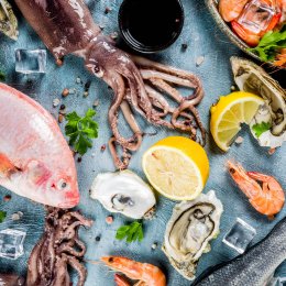 Seafood Story – czyli wszystko o owocach morza *OLD*