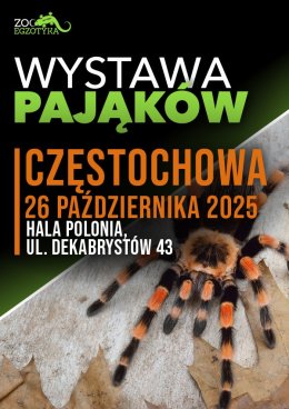 Wystawa pająków - Częstochowa