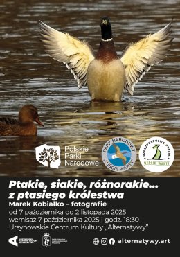 „Ptakie, siakie, różnorakie… z ptasiego królestwa” | fotografie - Marek Kobiałko