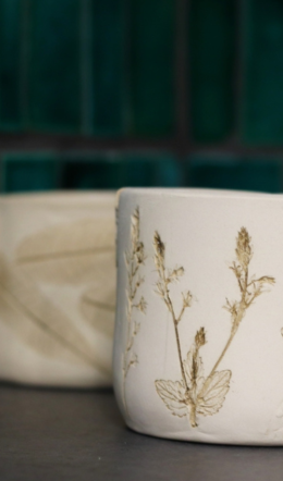 Ceramicznie botanicznie – Ślady jesieni | warsztaty