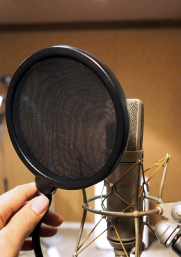 Mistrzowie dubbingu 10+