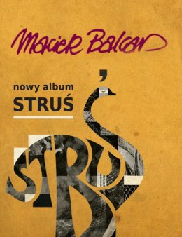Maciej Balcar - Struś