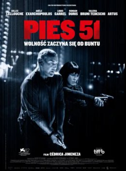 Pies 51